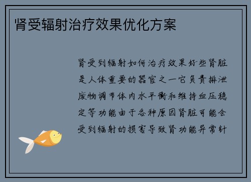 肾受辐射治疗效果优化方案